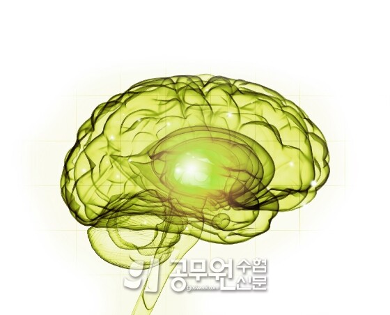 공무원수험신문 208-48.jpg