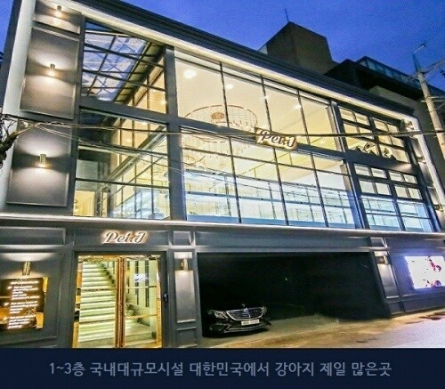 [플래나]후불_14회_공무원수험신문_펫제이_0319바로송출.jpg